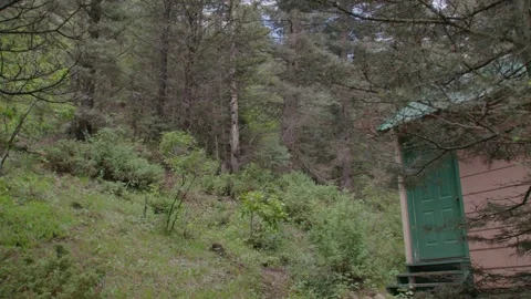 View of the forest from a cabin Stock Footage 204881757