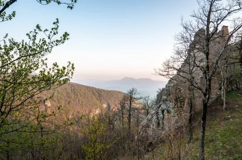 View from the forest to the cliff Stock Photos