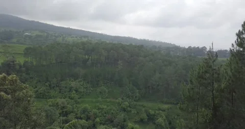 View of forest on cloudy weather from a height using a drone by moving forward 스톡 동영상 268957228