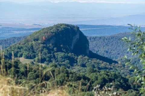 View of the forest-covered mountain cliff in Kakheti, Georgia Stock Photos