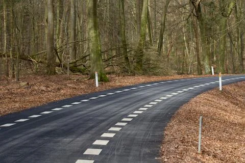 View of a forest in Denmark north form copenhagen Stock Photos