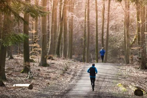View of a forest in Denmark north form copenhagen Stock Photos