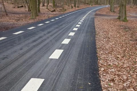 View of a forest in Denmark north form copenhagen Foto stock