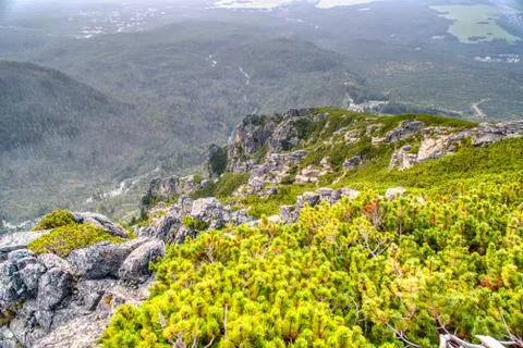 View of forest destroyed by storm , slovakia , tatras mountains Stock Photos