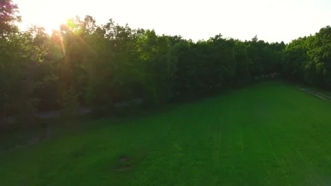 View of the forest from the drone. Top view of the trees on a spring evening. Stock Footage 197124332
