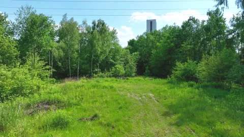 View of the forest from the drone. Top view of the trees on a spring evening. Stock Footage 197129530