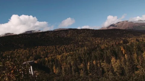 View of forest during the Alaskan fall Stock Footage 81146271