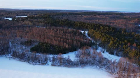 View of the forest with fir and pine trees in the winter season. Stock Footage 169167407