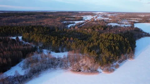 View of the forest with fir and pine trees in the winter season. Stock-Footage 169187740