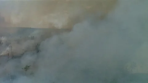 View of forest fire, British Columbia, Canada. Stock Footage 163173597