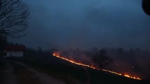 View of the forest fire from the car Stock Footage 273213144