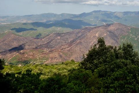 View of the forest fire in Sinnai Stock Photos