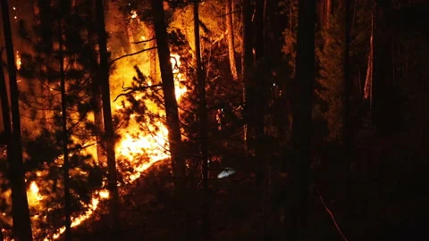 View forest fire on the slopes of hills and mountains Stock Footage 205103296