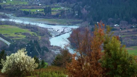 A view of a forest Stock Footage 156010988