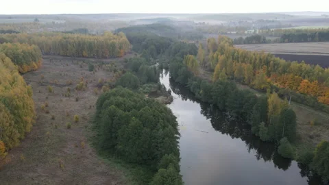 View of the forest Stock Footage 162358999
