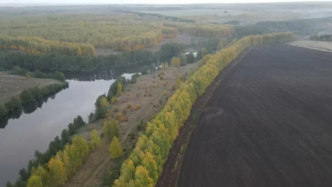 View of the forest Stock Footage 162359438