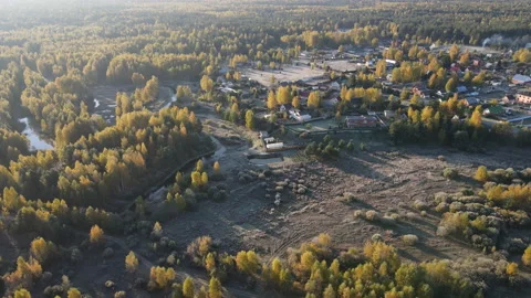 View of the forest Stock Footage 162794308