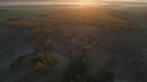 View of the forest Stock Footage 163252164