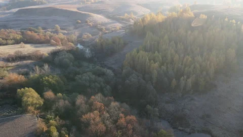 View of the forest Stock Footage 163253602