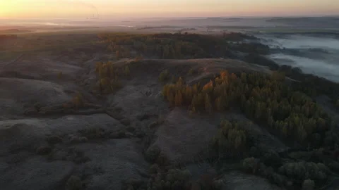 View of the forest Stock Footage 163255400