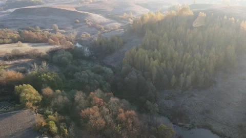 View of the forest Stock Footage 163255926