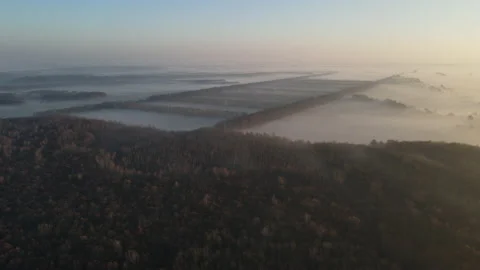 View of the forest Stock Footage 164813058