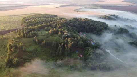 View of the forest Stock Footage 165437210