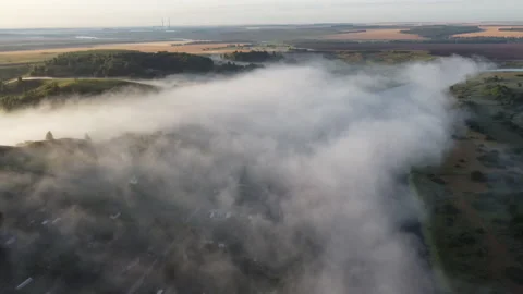 View of the forest Stock Footage 165452253