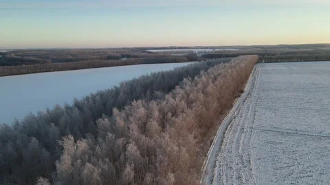 View of the forest Stock Footage 167145638