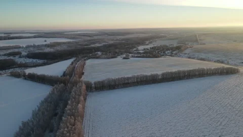 View of the forest Stock Footage 167221361