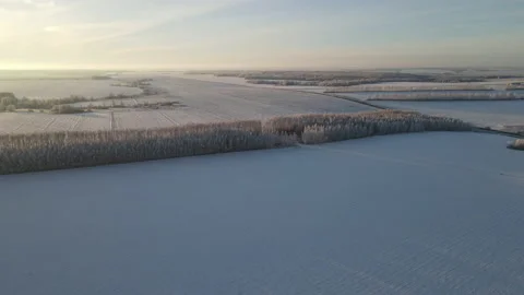 View of the forest Stock Footage 167581580
