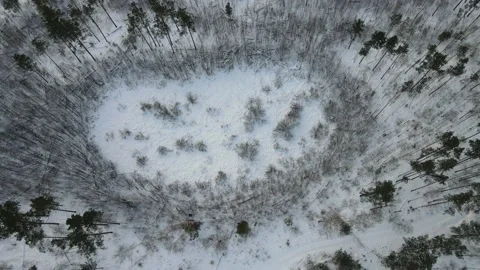 View of the forest Stock Footage 167809969