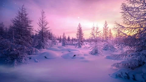 The view of the forest Stock Footage 233451230