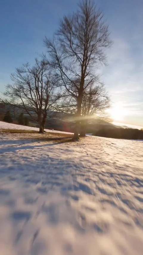 View of forest Stock Footage 270409173