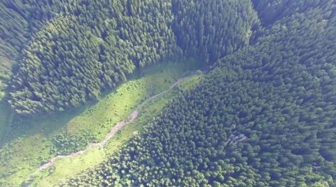 View of the forest from a height. video from drone Stock Footage 67494308