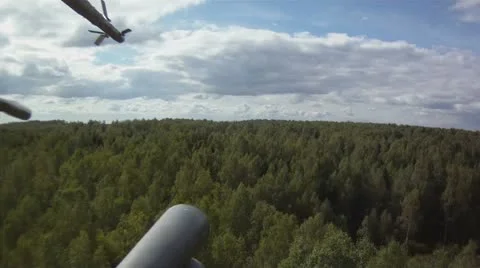 View on forest from helicopter Video stock 11745925