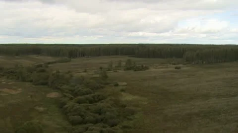 View on forest from helicopter Stock Footage 18196808