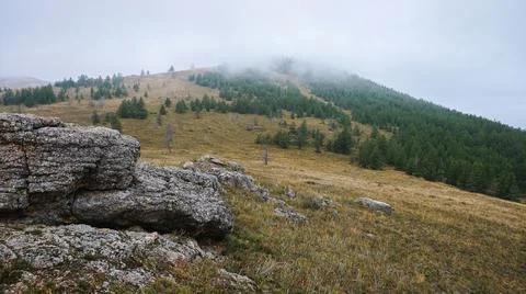 View of the forest hill in the clouds and big rock Stock Photos