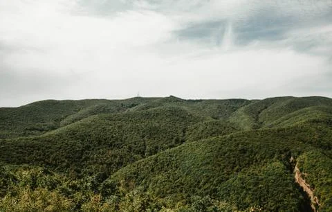 View of the Forest Hills Stock Photos