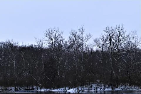 View of a forest lake at the beginning of winter Stock Photos