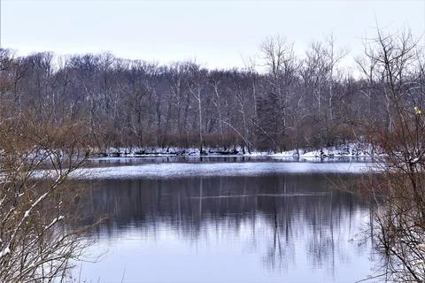 View of a forest lake at the beginning of winter Stock Photos