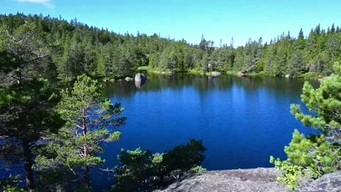 View of a forest lake in Norway with trees and clear blue water on a sunny .. Stock Footage 340214163
