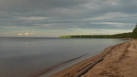 View of the forest lake in a quiet summer evening. Calm lake water and pine Видео 278733852