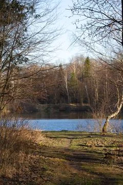 View of the forest lake through tree branches on a sunny spring evening. Stock Photos