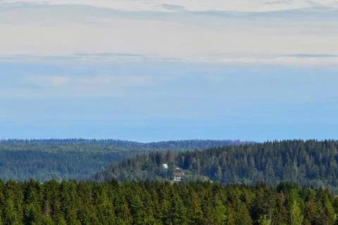 View of the forest landscape Stock Photos