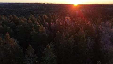 View of forest landscape at sunset in Ojersjo, Sweden. Stock-Footage 340641935