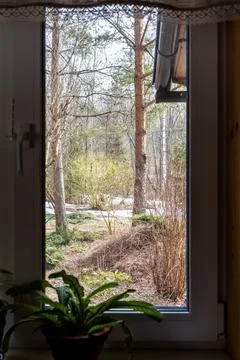 View of forest with melting snow through window Stock Photos