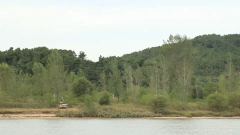 View of forest in mountain Stock-Footage 305820958