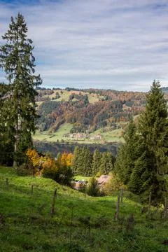 View on forest from mountain Stock Photos