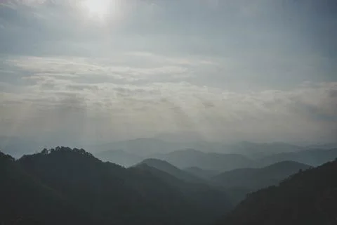 View of the forest from the mountain 스톡 사진